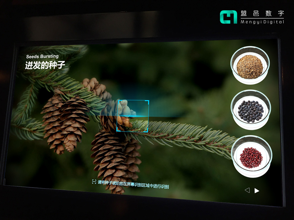 浙江自然博物馆 迸发的种子科普屏